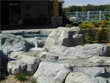 Shoreline Rockworks Artifical Rockwork and Pool Remodeling