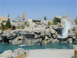 Shoreline Rockworks Artifical Rockwork and Pool Remodeling